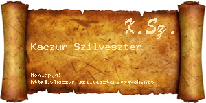 Kaczur Szilveszter névjegykártya
