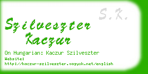 szilveszter kaczur business card